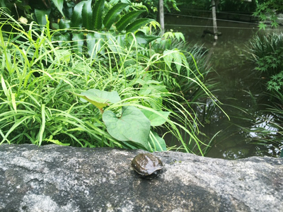 190723-5.jpg