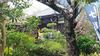 IMGP8306-s.jpg