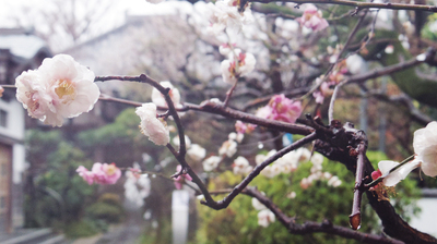 IMGP8400-~.jpg