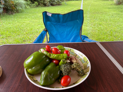 IMG_0368-tomato.jpg