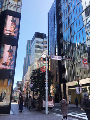 IMG_9551-ginza.jpg