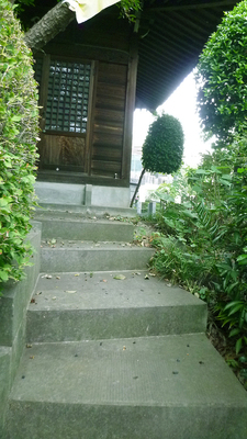 P1050462-.jpg